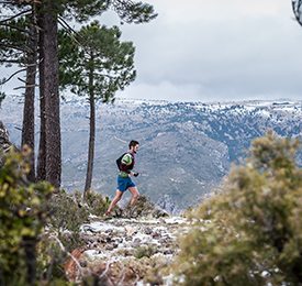 LMF 2019. Carreras Trail